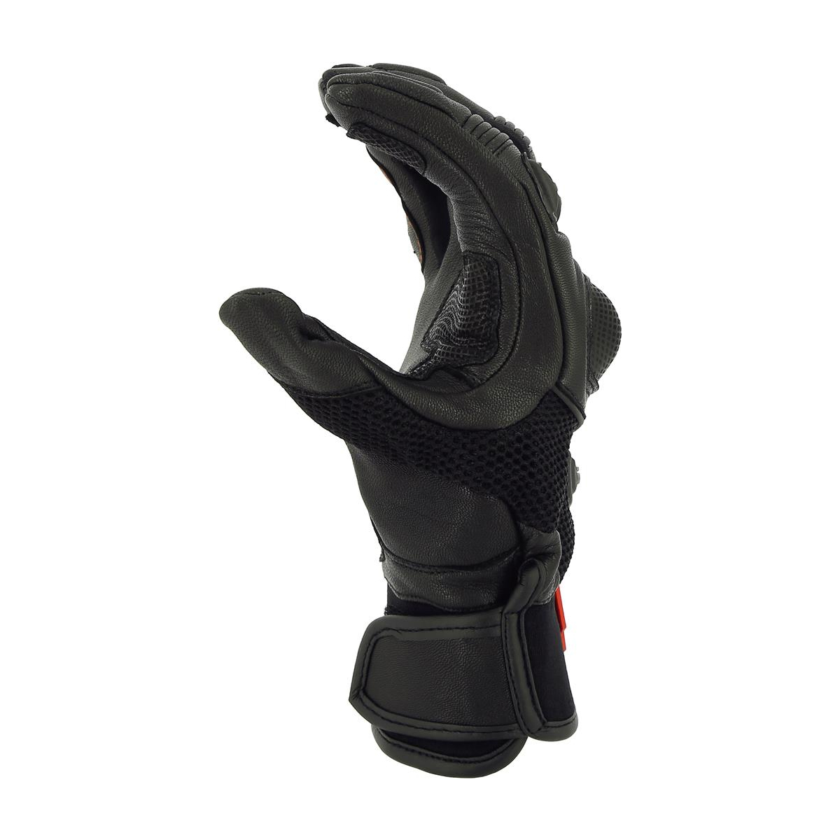 BLAST DAMA NEGRO - Imagen 3