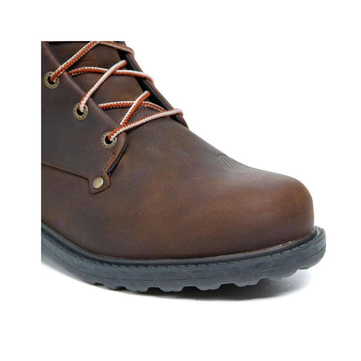 BLEND 2 WP CAFÉ - Imagen 3